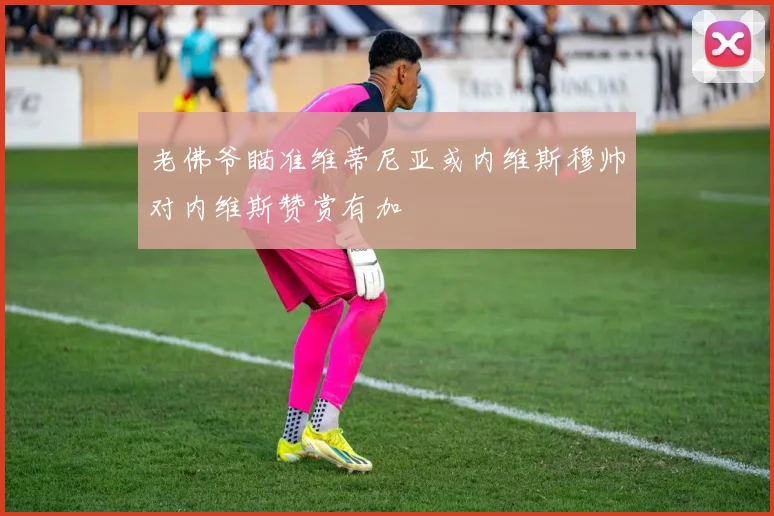 老佛爷瞄准维蒂尼亚或内维斯穆帅对内维斯赞赏有加